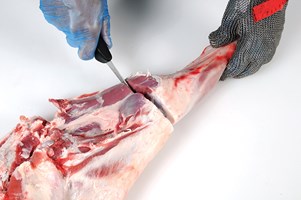 Meat Cut Spec Step 5